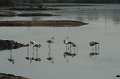 21.10.2012 Saline di Priolo (141)